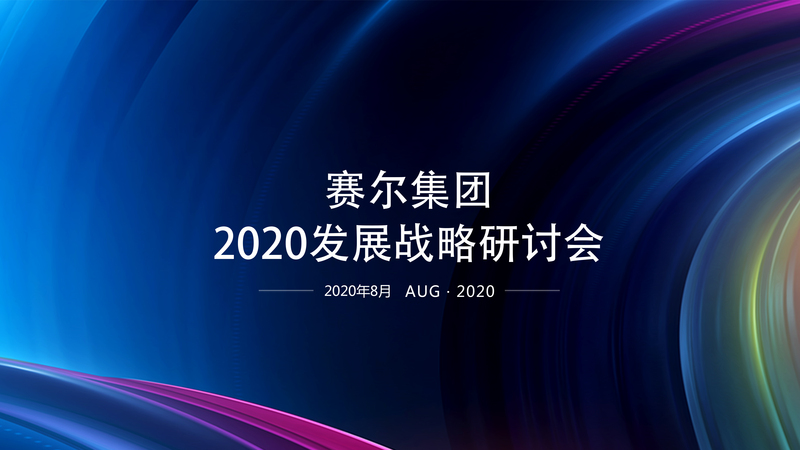 賽爾集團(tuán)舉辦2020年度發(fā)展戰(zhàn)略研討會